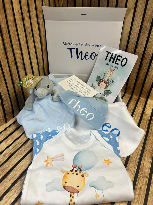 Baby Boy Gift Box